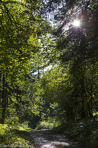 Schlossweg