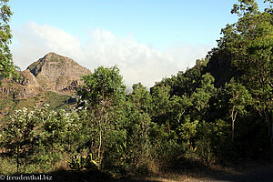 Landschaft im Naturpark