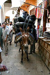 Er hat hier Vorfahrt, ... Esel in Fès el-Bali