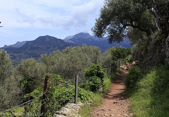 Wandern auf Mallorca