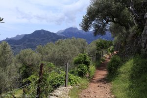 Wanderweg Cami de Castello