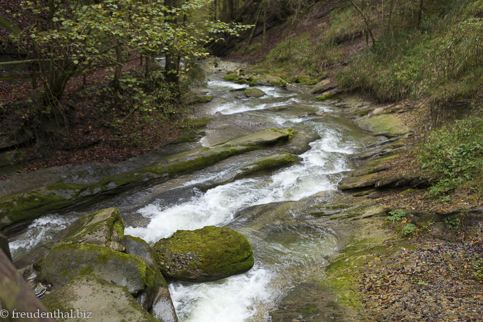 Wild rauschendes Wasser in der Hausbachklamm im Westallgäu