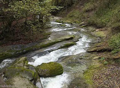 Wanderung durch die Hausbachklamm