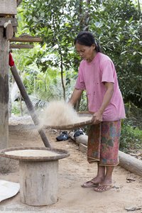 Khmu-Frau trennt den Spreu vom Reis