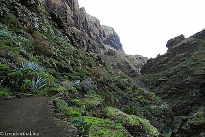 Gebirgslandschaft im oberen Teil der Masca-Schlucht