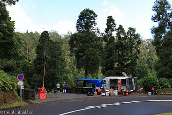 Autokiosk am Eingang der Caldeira Velha auf São Miguel