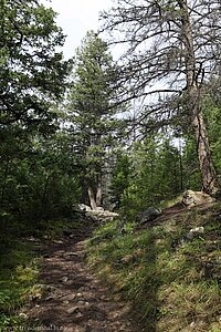 Trail im Valley of the five Lakes