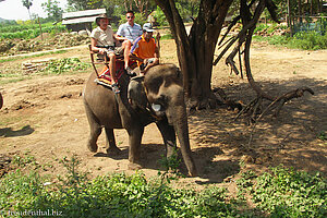 Elefantenreiten beim Taweechai Elefantencamp