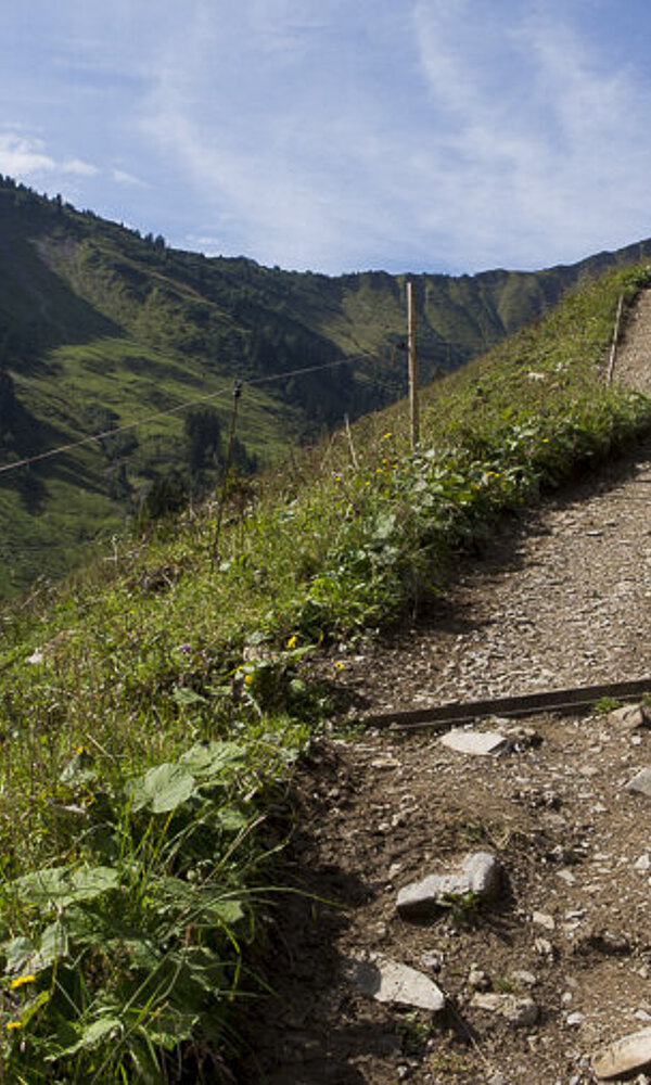 Wanderweg zur Spitalalpe
