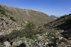 Barranco la Elvira