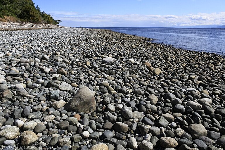 Cape Mudge
