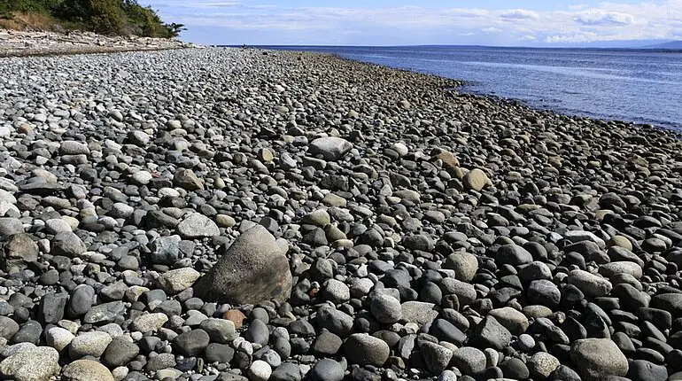 Cape Mudge