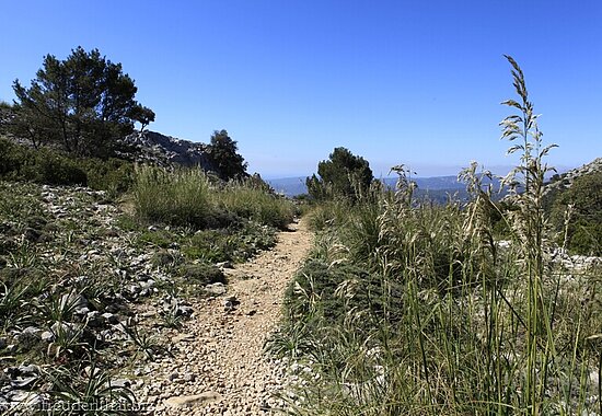 Bergtour auf den Puig des Teix