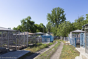 Der Jüdische Friedhof in der moldauischen Stadt Balti.