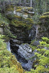 Felsenlandschaft im Maligne Canyon