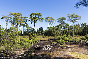 auf dem Bolaven Plateau - die Hochebene von Laos