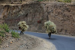 äthiopische Bauern tragen die schwere Ernte nach Hause