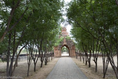 beim Sinbyushin Monastic Complex von Bagan