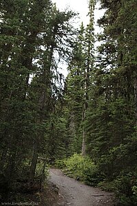 Wanderweg vom Lake Louise zum Lake Agnes