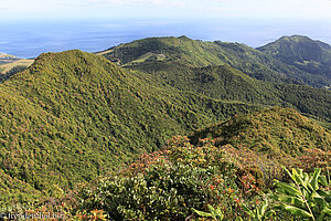 Bergland von Sao Miguel auf den Azoren