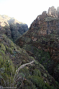 Wasserkanal im Barranco del Infierno auf Teneriffa