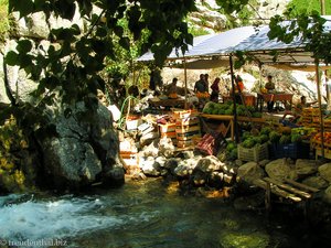 Teich am Markt bei Arykanda im Taurusgebirge