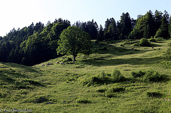 Blick über den Walensee zum Mattstock und Speer (hinten)