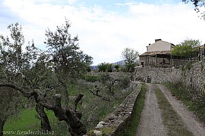 hier führte einst der Wanderweg an der Finca Mossa vorbei