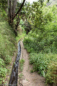 Schöner Weg entlang der Levada do Moinho