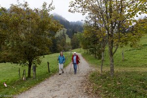 Herbstlicher Wanderweg zur Alpe Sonnhalde