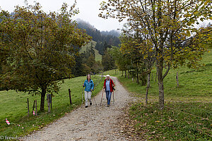 Herbstlicher Wanderweg zur Alpe Sonnhalde