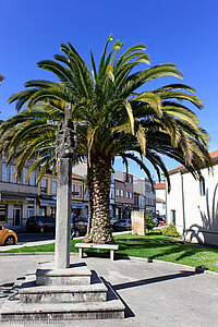 Palmenplatz von Melide