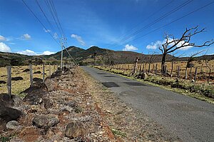 Fahrt in den trockenen Teil der Cordillera de Guanacaste