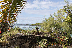 Blick aus der Anlage vom Hotel Paradise Cove in die Anse la Raie