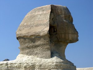 Profil der Sphinx
