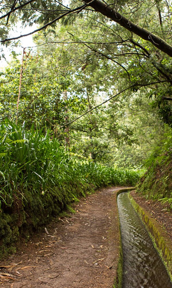 an der Levada do Rei