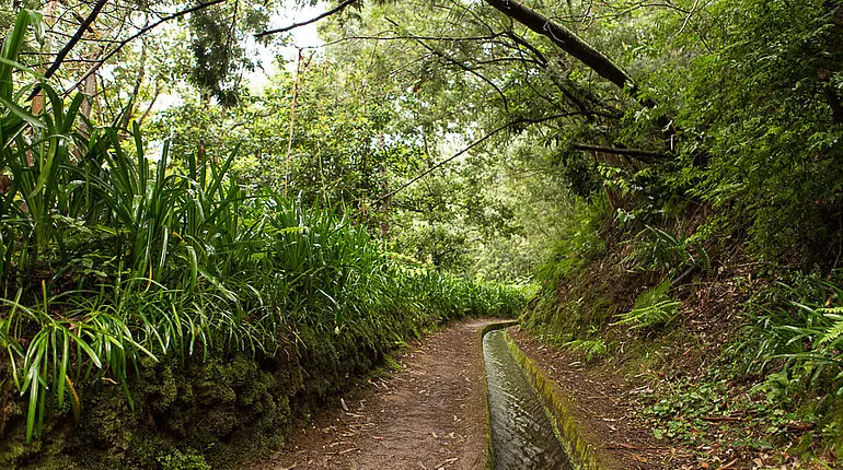 an der Levada do Rei