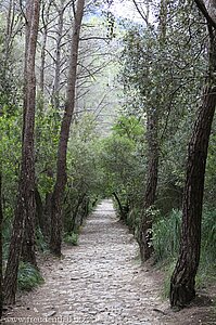 Wanderweg nach Banyalbufar