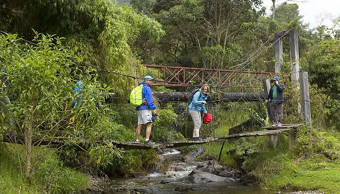 Wanderung im Vallee del Cocora