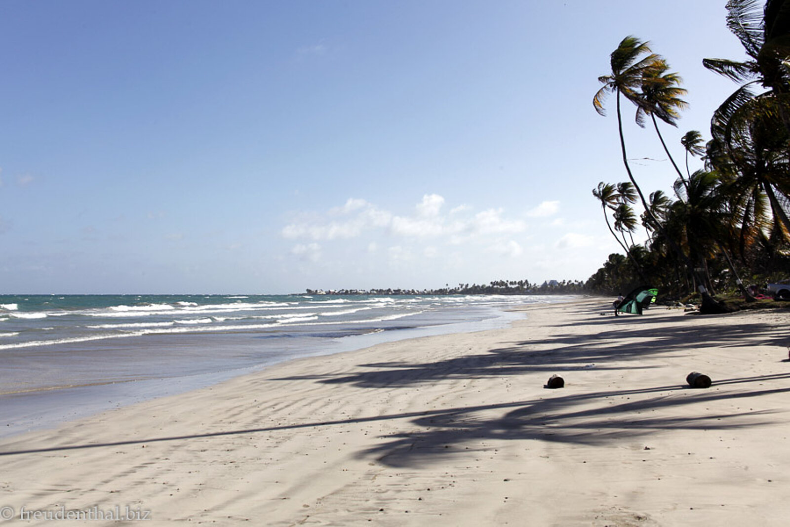Palmen mit Schatten am Sandstrand südlich von Scarborough auf der Insel Tobago