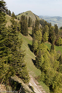 Ausblick zum Spicher