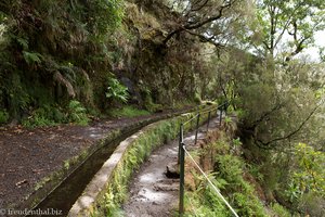 Wanderweg entlang der Levada zu den 25 Quellen
