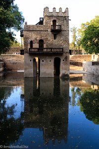 Das Wasserschloss des Fasilides spiegelt sich im Bassin