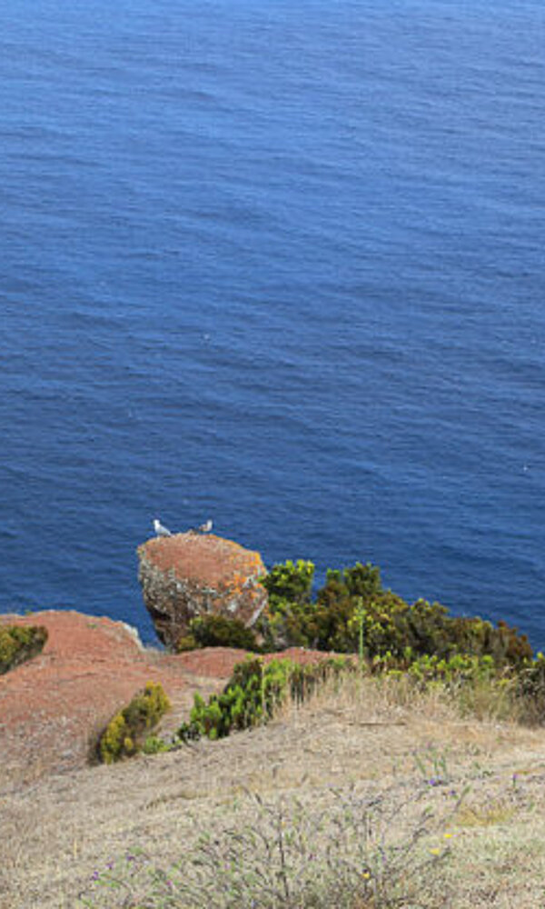 Blick über die Nordwestküste von Sao Miguel aufs Meer
