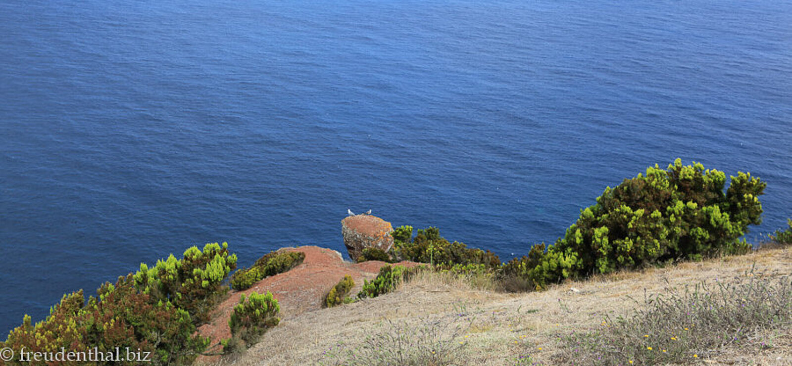 Blick über die Nordwestküste von São Miguel aufs Meer