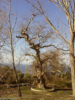 kleiner Park bei Agios Pavlos