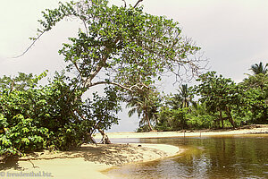 Mündung der Laguna Redonda