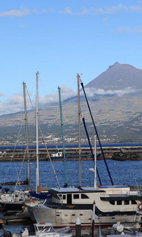 Blick von Horta über den Yachthafen nach Pico