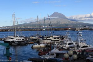 Blick von Horta über den Yachthafen nach Pico