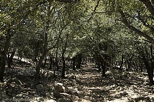 Wanderweg nach Valldemossa